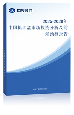 2025-2029ЇC(j)픺ЈͶYǰA(y)y